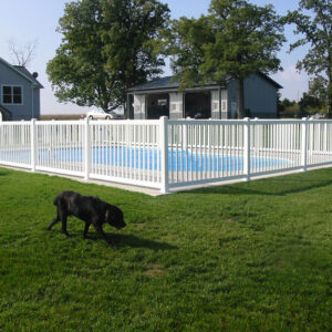 Pool Fencing