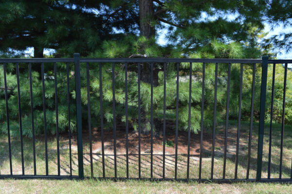 Durables Canfield Aluminum Fence near pine