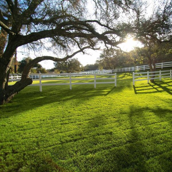 3 rail ranch rail in the sunset