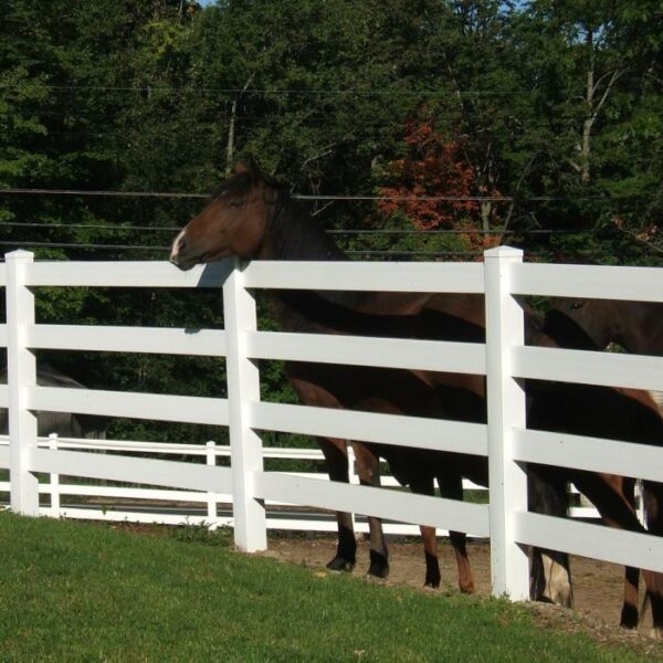 4 Rail Ranch Rail with horses