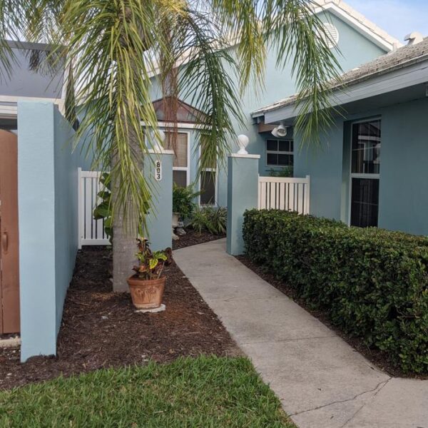 Weldon white semi-privacy fence behind palm tree