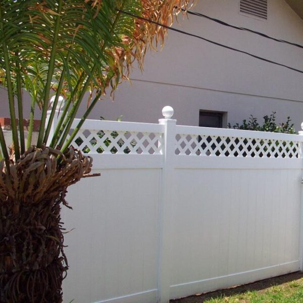 Canterbury white vinyl privacy fence with palm tree