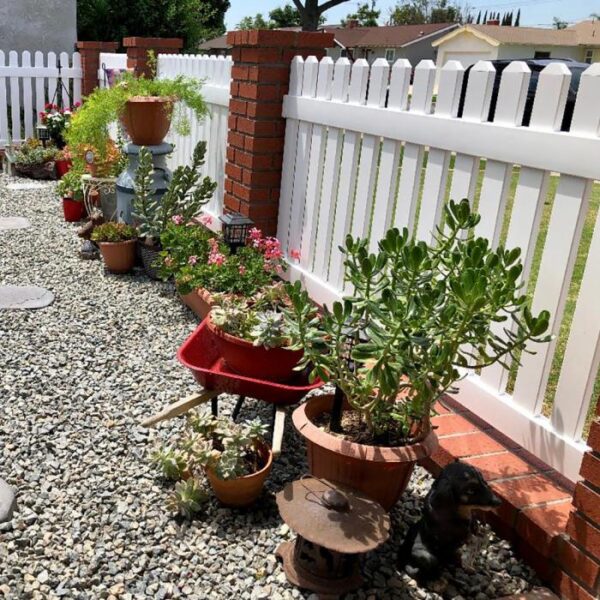 Sudbury white vinyl picket fence gravel garden