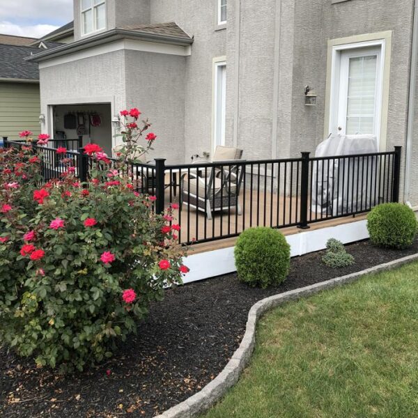 Sterling black aluminum railing near rose bush