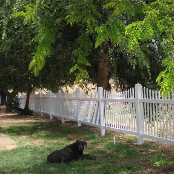 Stanley white vinyl picket fence behind dog