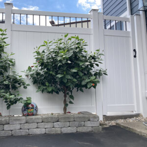 Townsend white vinyl privacy fence gate with shrubbery