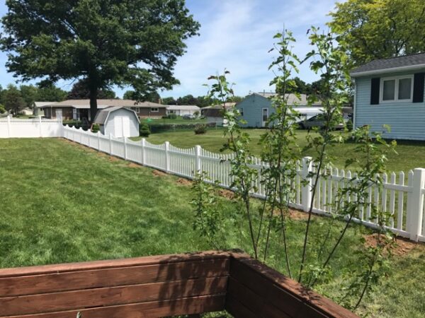 Darlington White vinyl picket fence in a large yard